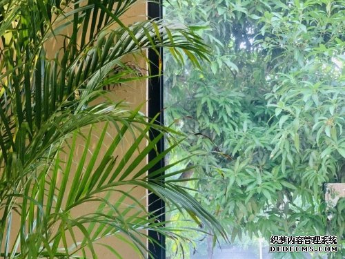 马可波罗岩板【地球的“岩”色】 除了“