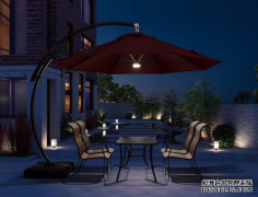 紫叶双湾伞：庭院里的诗意栖居，经得起风雨的浪漫守护